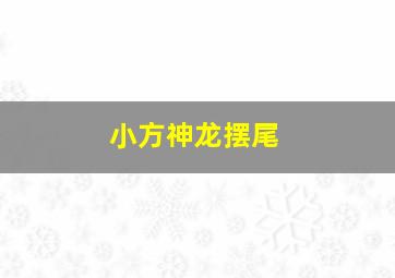 小方神龙摆尾