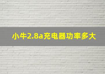 小牛2.8a充电器功率多大