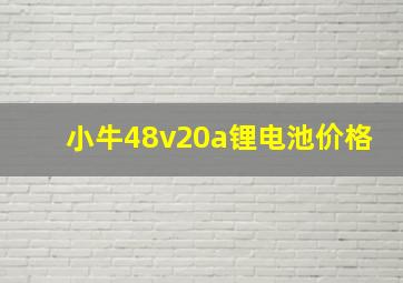 小牛48v20a锂电池价格