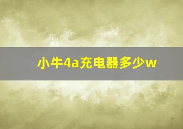 小牛4a充电器多少w