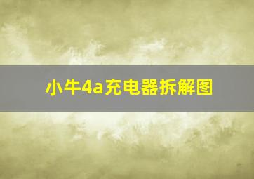 小牛4a充电器拆解图