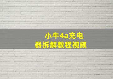 小牛4a充电器拆解教程视频