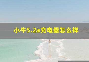 小牛5.2a充电器怎么样