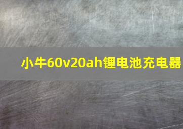 小牛60v20ah锂电池充电器