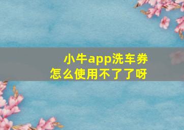 小牛app洗车券怎么使用不了了呀