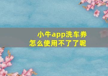 小牛app洗车券怎么使用不了了呢