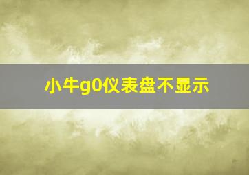 小牛g0仪表盘不显示