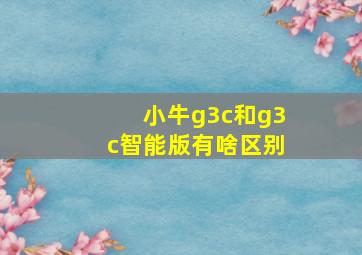 小牛g3c和g3c智能版有啥区别