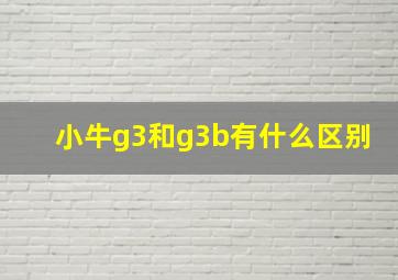 小牛g3和g3b有什么区别