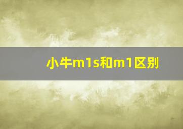 小牛m1s和m1区别