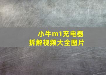 小牛m1充电器拆解视频大全图片