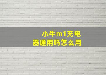 小牛m1充电器通用吗怎么用