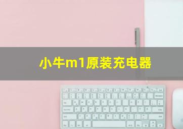 小牛m1原装充电器