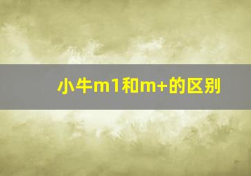 小牛m1和m+的区别