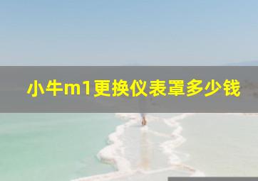 小牛m1更换仪表罩多少钱