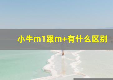 小牛m1跟m+有什么区别