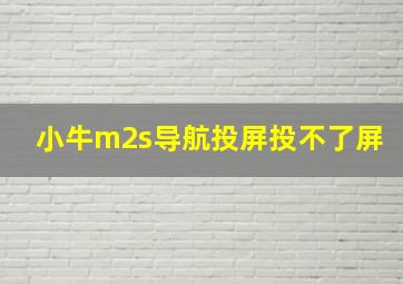 小牛m2s导航投屏投不了屏