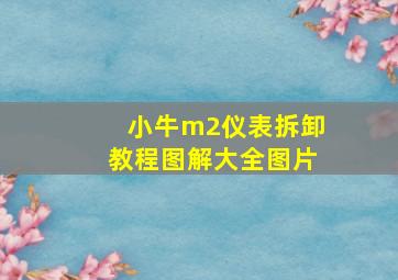 小牛m2仪表拆卸教程图解大全图片