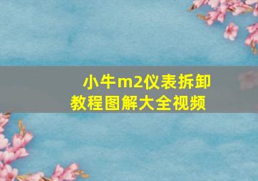 小牛m2仪表拆卸教程图解大全视频