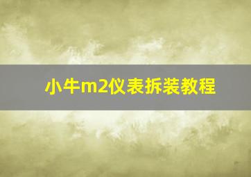 小牛m2仪表拆装教程