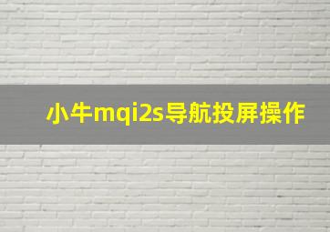 小牛mqi2s导航投屏操作