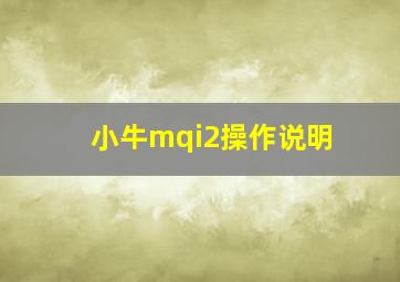 小牛mqi2操作说明