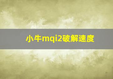 小牛mqi2破解速度