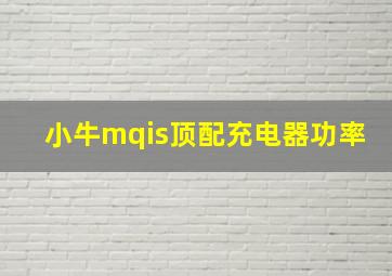 小牛mqis顶配充电器功率