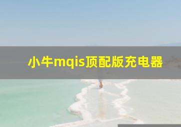 小牛mqis顶配版充电器