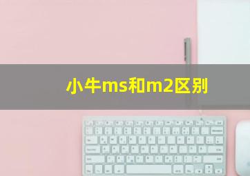 小牛ms和m2区别