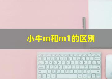 小牛m和m1的区别