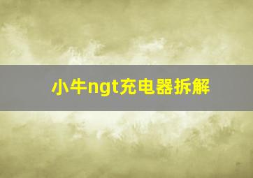 小牛ngt充电器拆解