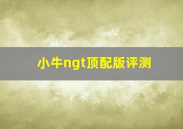 小牛ngt顶配版评测