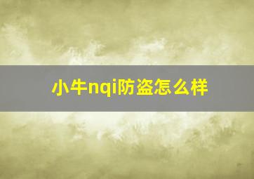 小牛nqi防盗怎么样