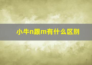 小牛n跟m有什么区别