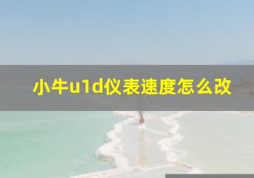 小牛u1d仪表速度怎么改