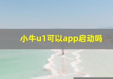 小牛u1可以app启动吗