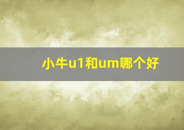 小牛u1和um哪个好