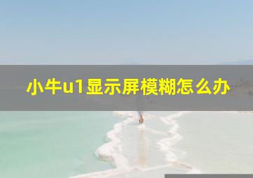 小牛u1显示屏模糊怎么办