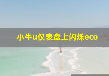 小牛u仪表盘上闪烁eco