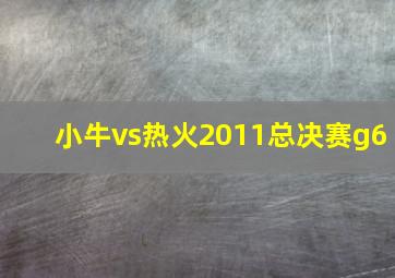 小牛vs热火2011总决赛g6