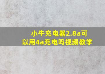 小牛充电器2.8a可以用4a充电吗视频教学