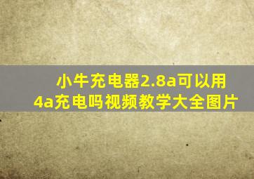 小牛充电器2.8a可以用4a充电吗视频教学大全图片