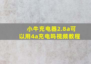 小牛充电器2.8a可以用4a充电吗视频教程