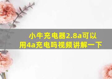 小牛充电器2.8a可以用4a充电吗视频讲解一下