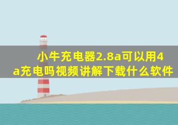 小牛充电器2.8a可以用4a充电吗视频讲解下载什么软件