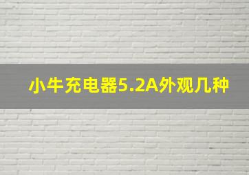 小牛充电器5.2A外观几种