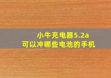 小牛充电器5.2a可以冲哪些电池的手机