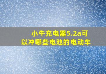 小牛充电器5.2a可以冲哪些电池的电动车