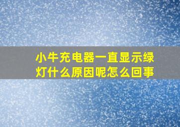 小牛充电器一直显示绿灯什么原因呢怎么回事